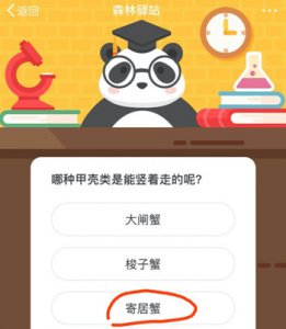 哪种甲壳类是能竖着走的呢 森林驿站9月2日每日